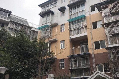 沙沙沙的成都