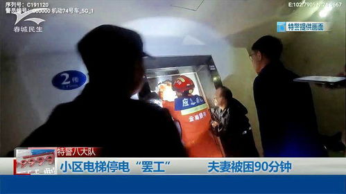 东北夫妻店铺遭遇刁难，停电事件引发社会关注