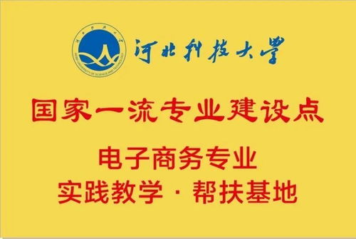 电子商务专业可以进电网
