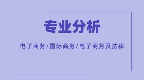 电子商务及法律专业浅析