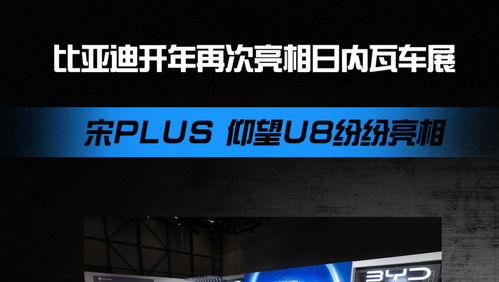 为什么比亚迪叫停“价格战”